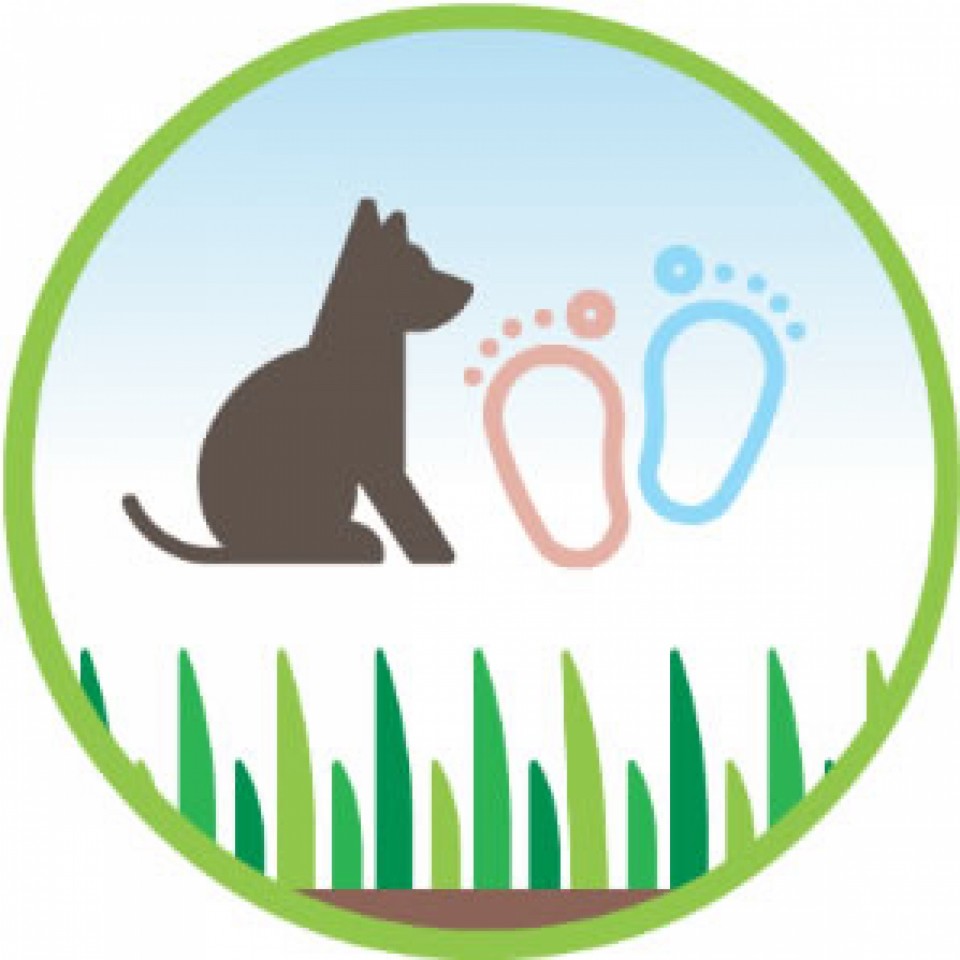 erba artificiale per cani