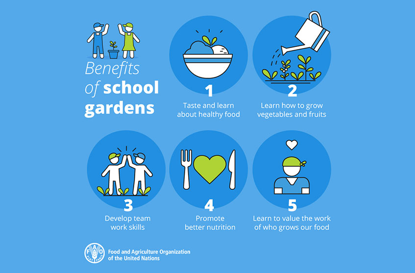 I 5 benefici degli orti a scuola FAO