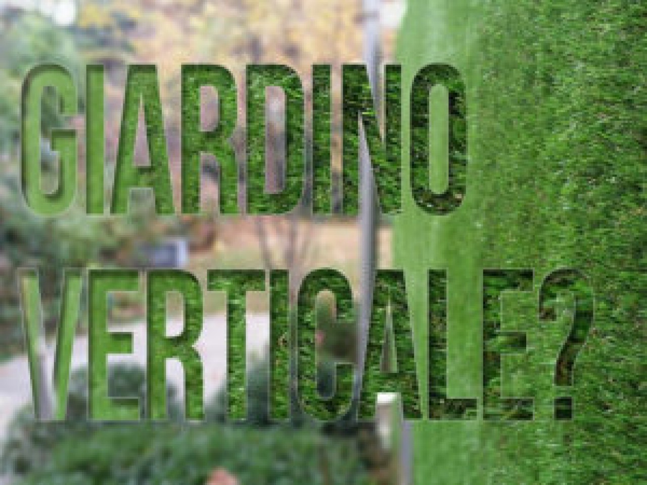 Giardino Verticale Fai da Te: Benefici e Come Realizzarlo