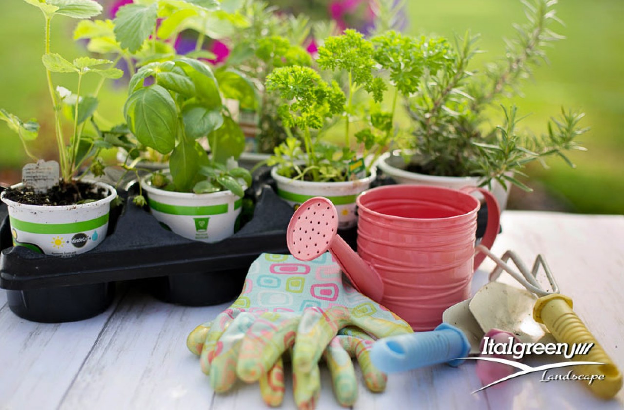 manto erba sintetica e giardino