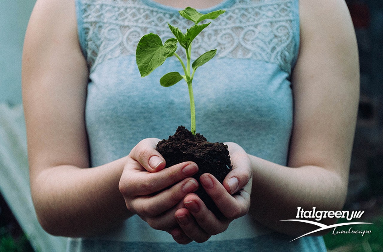 Lavori-in-giardino-a-febbraio-con-Italgreen-Landscape