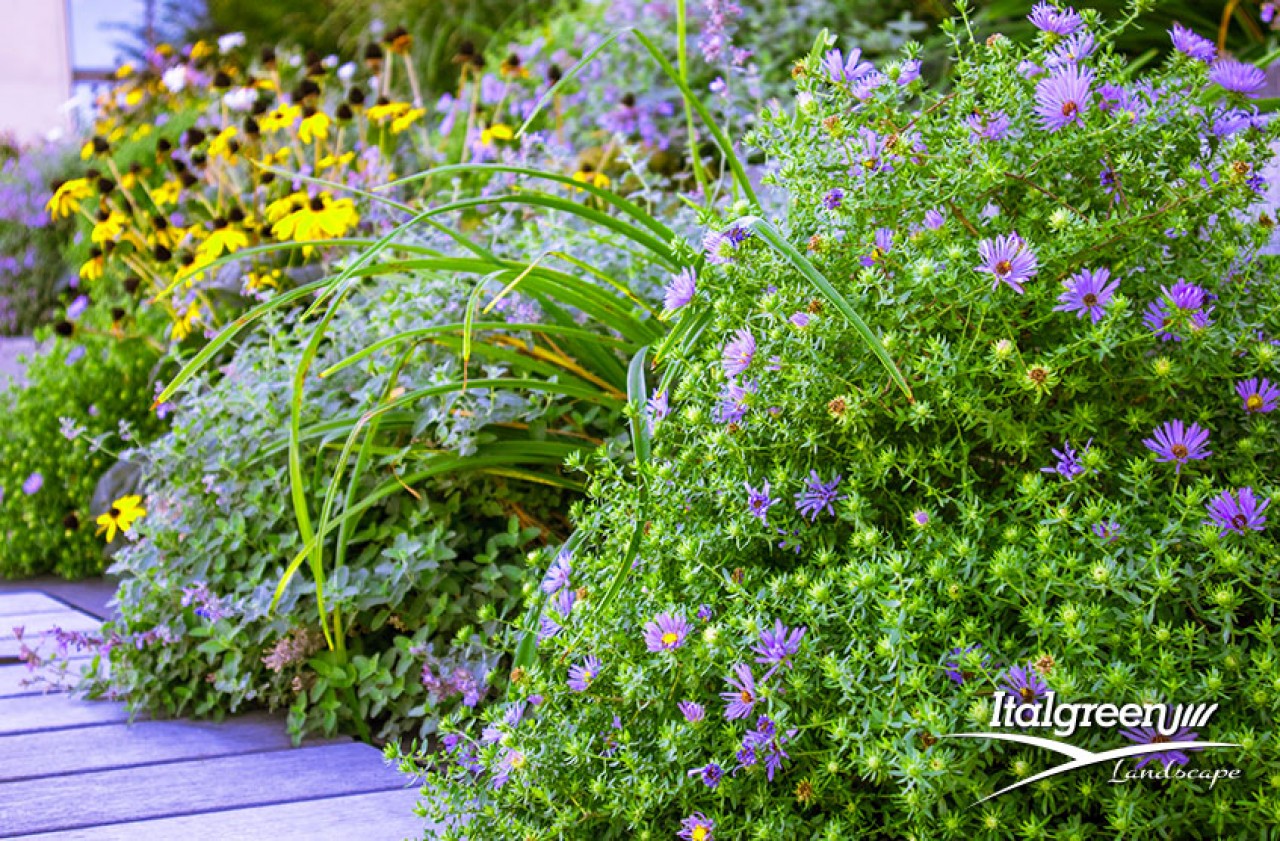 fiori primaverili da giardino