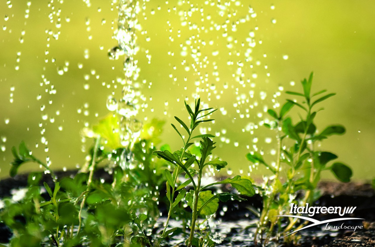 erba-sintetica-acqua
