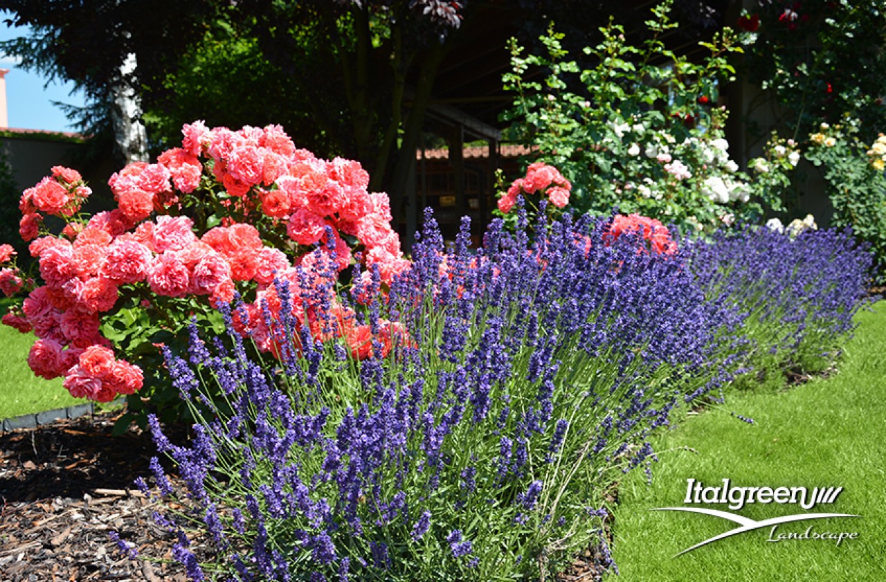 giardini di primavera