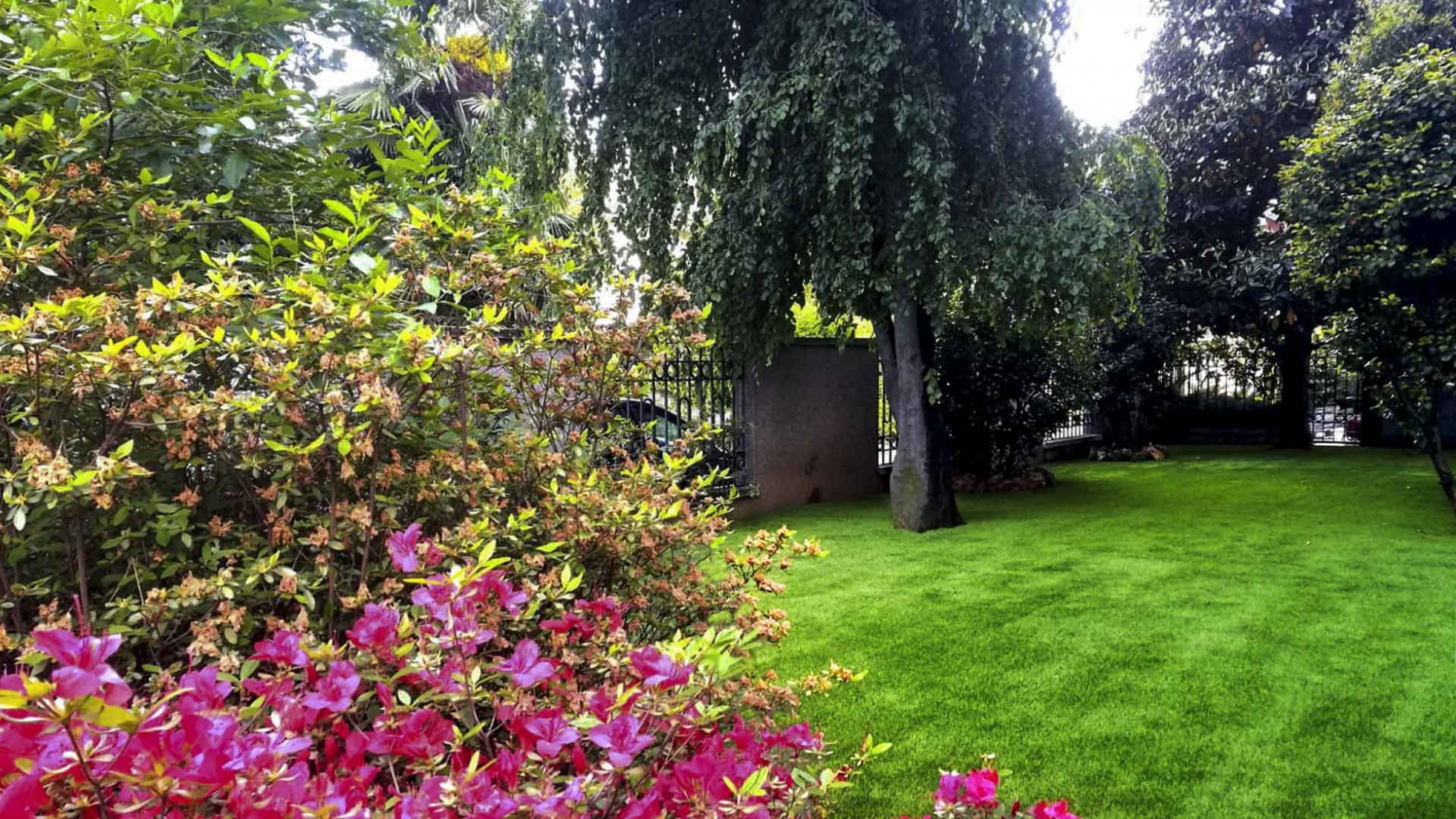 prati giardini