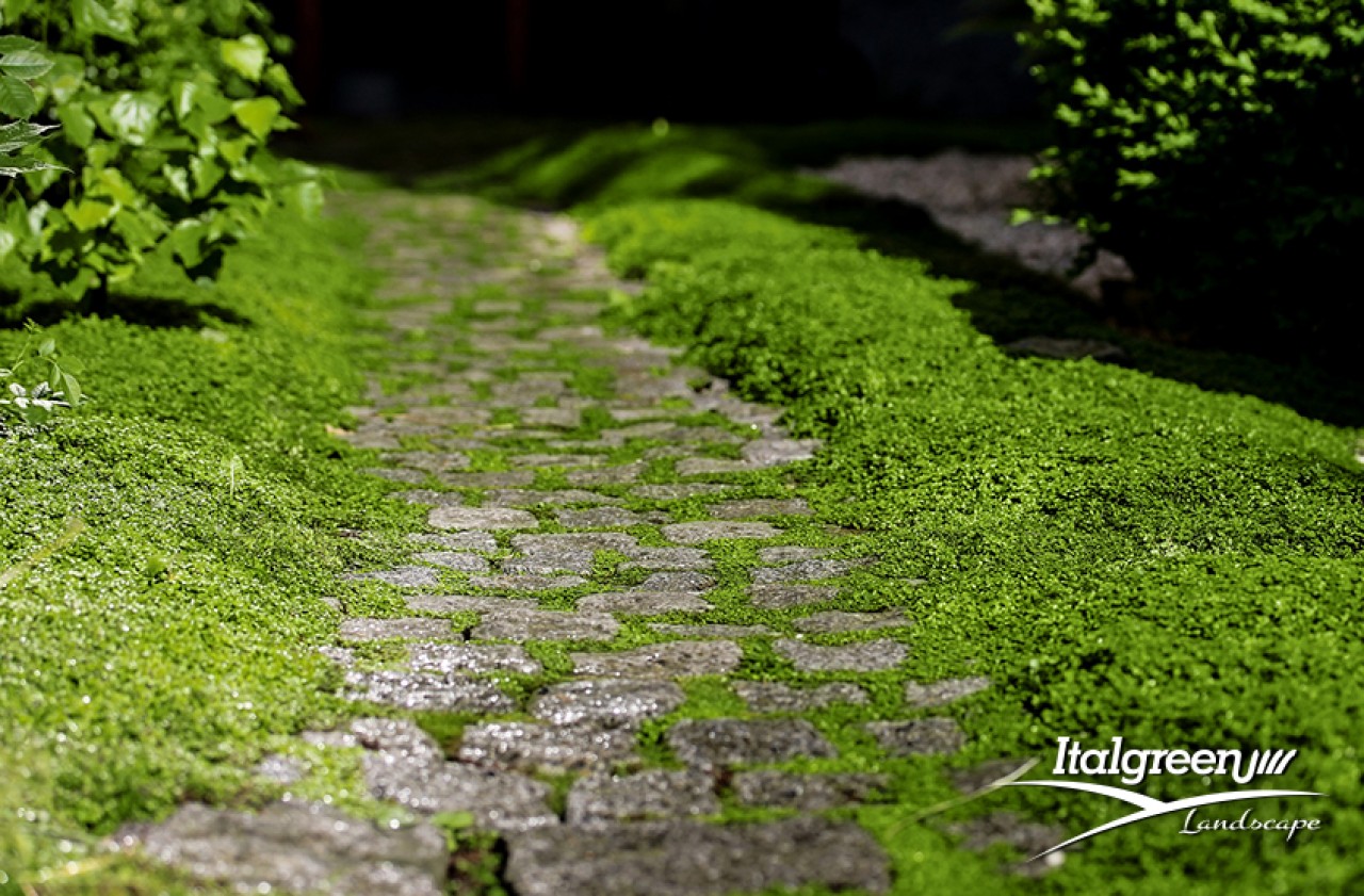 pavimenti per esterni giardino