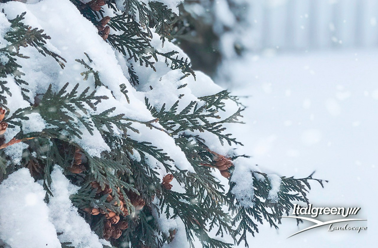 giardino-in-inverno-come-proteggerlo