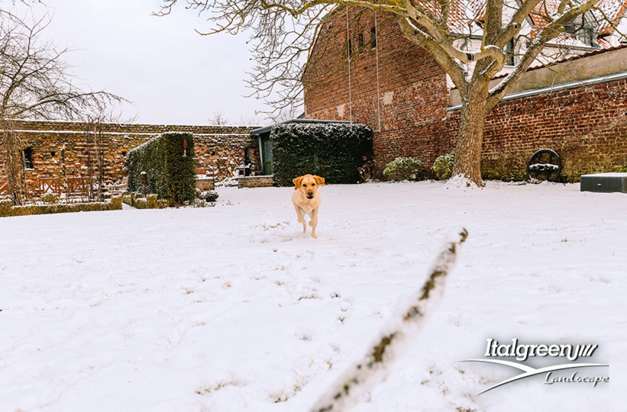 giardino in inverno