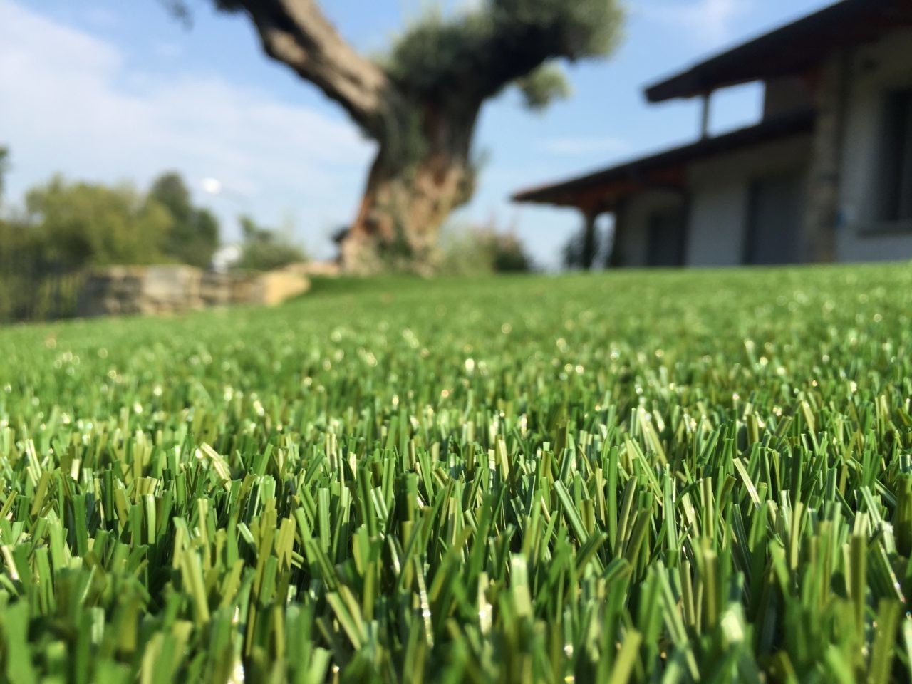 prato finto alberi