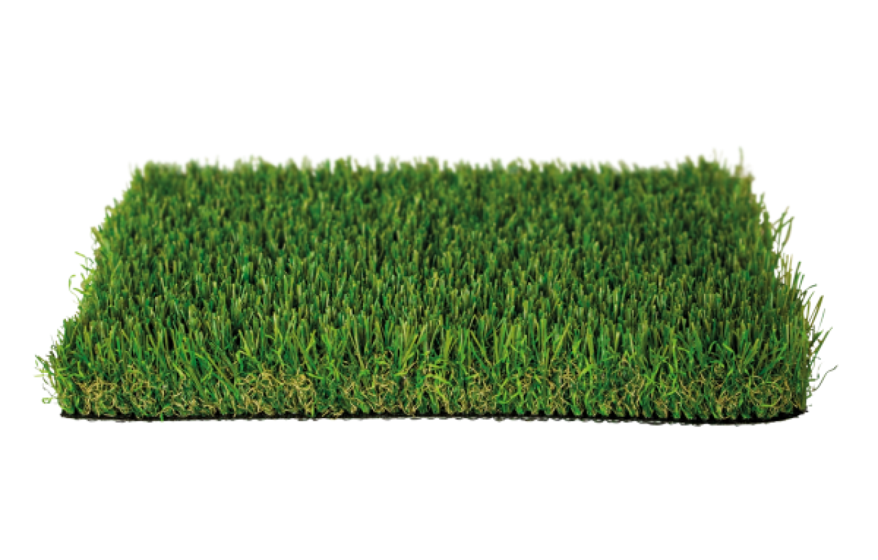 Wild40 Multidirezionale