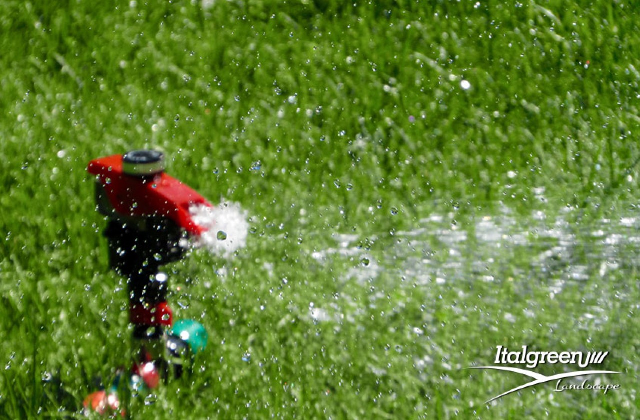 Come-irrigare-il-prato-in-estate prato giardino irrigazione