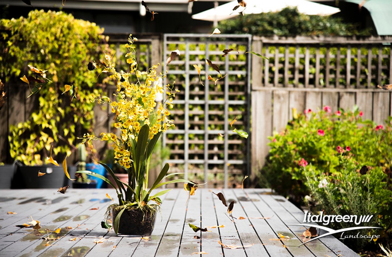 come-progettare-il-giardino progettare il giardino