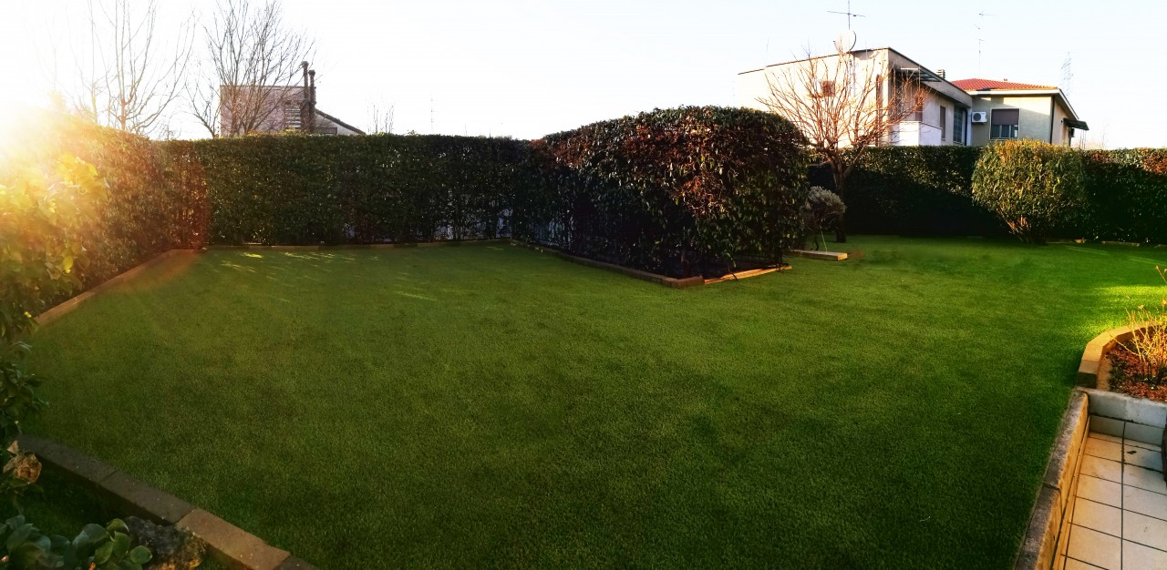 erba finta per giardino privato