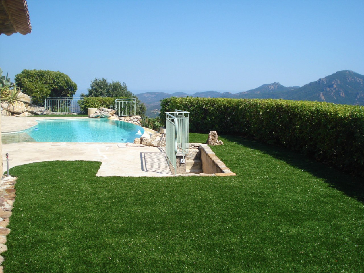 erba finta montagna