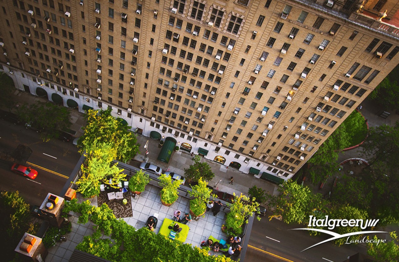 terrazza roof garden
