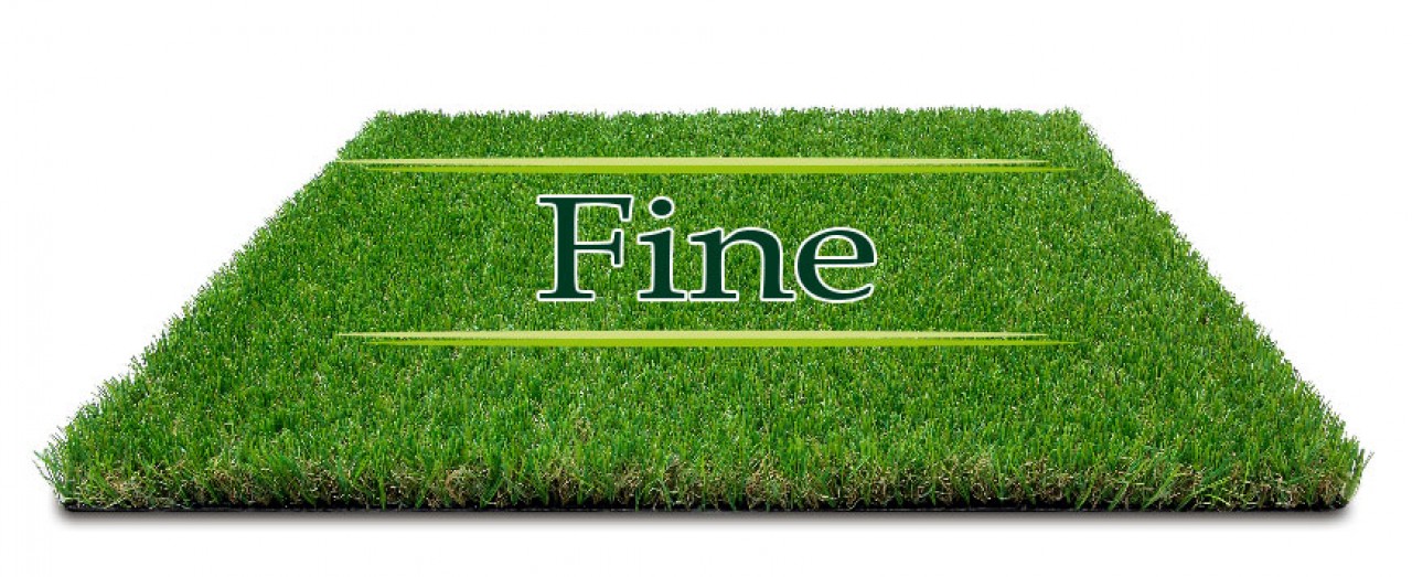 fine italgreen fine