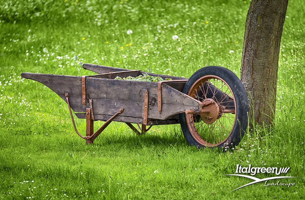 marzo-in-giardino-lavori-da-fare-italgreen-landscape giardino marzo