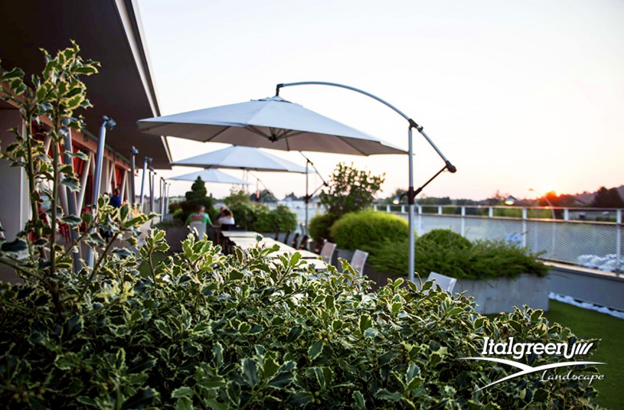 roof-garden roof garden