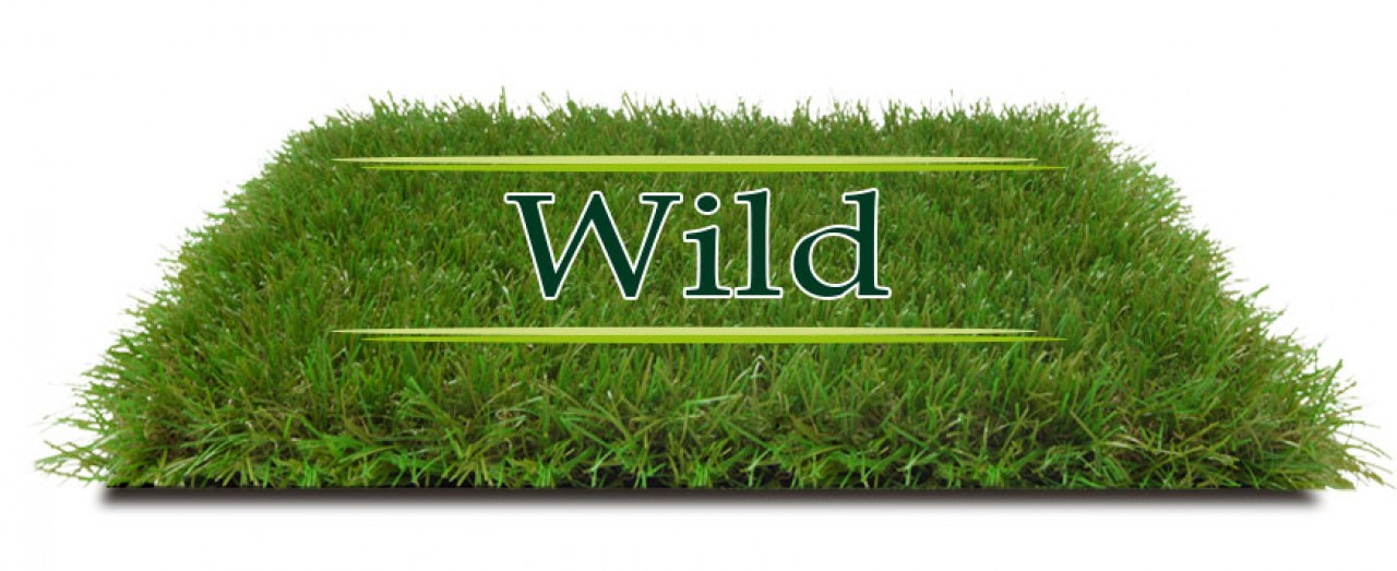 wild italgreen wild