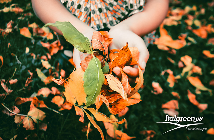 autunno-in-giardino-stagione-fredda
