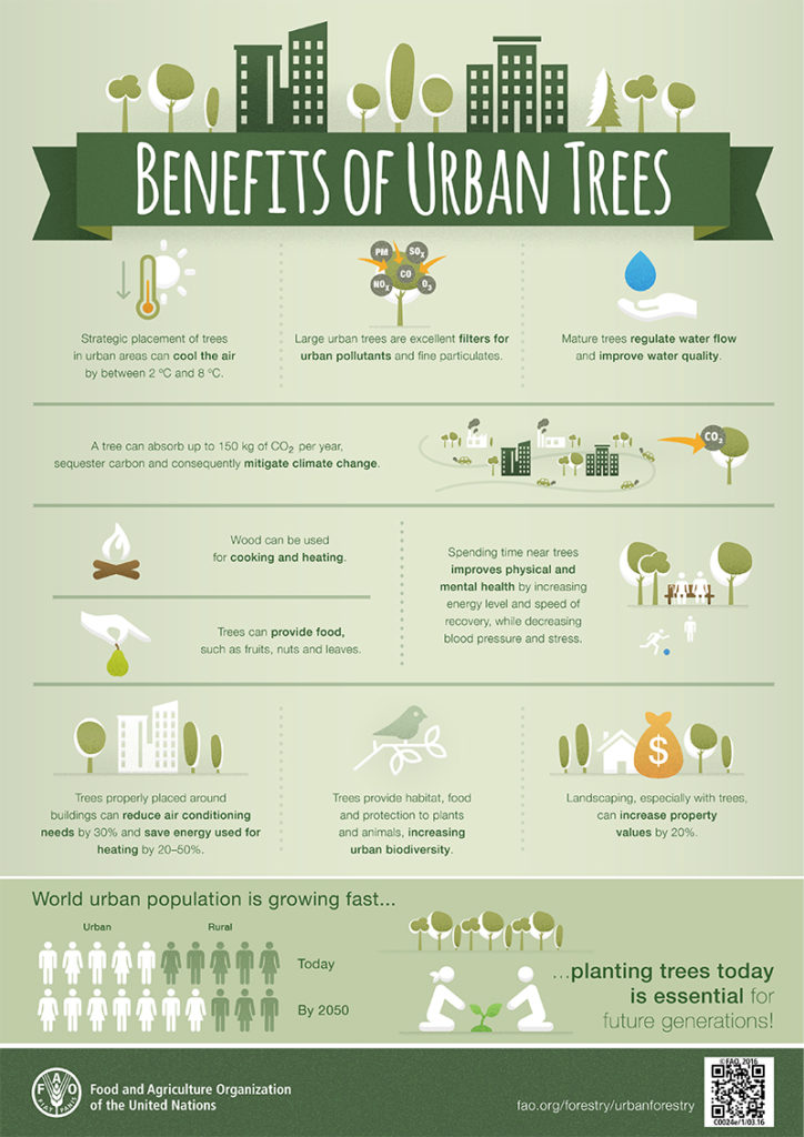 Arriva il World Forum on Urban Forests a Mantova Foreste urbane