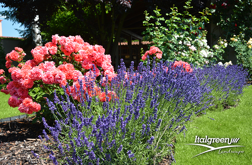 preparare il giardino alla primavera